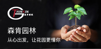 联系爱游戏官方app平台